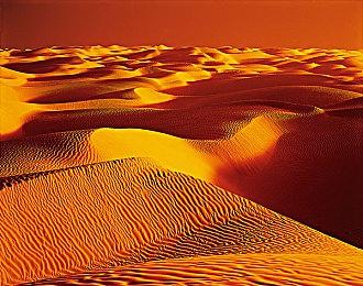 《全面战争：战锤3》纳垢灵宣传片 2月17日正式发售