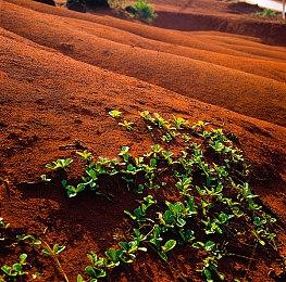 外媒评今年已发售15款最佳画质游戏 《生化4》在列