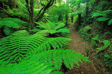 《地狱之刃》XSX＆S版获免费更新 提高分辨率、增加光追等